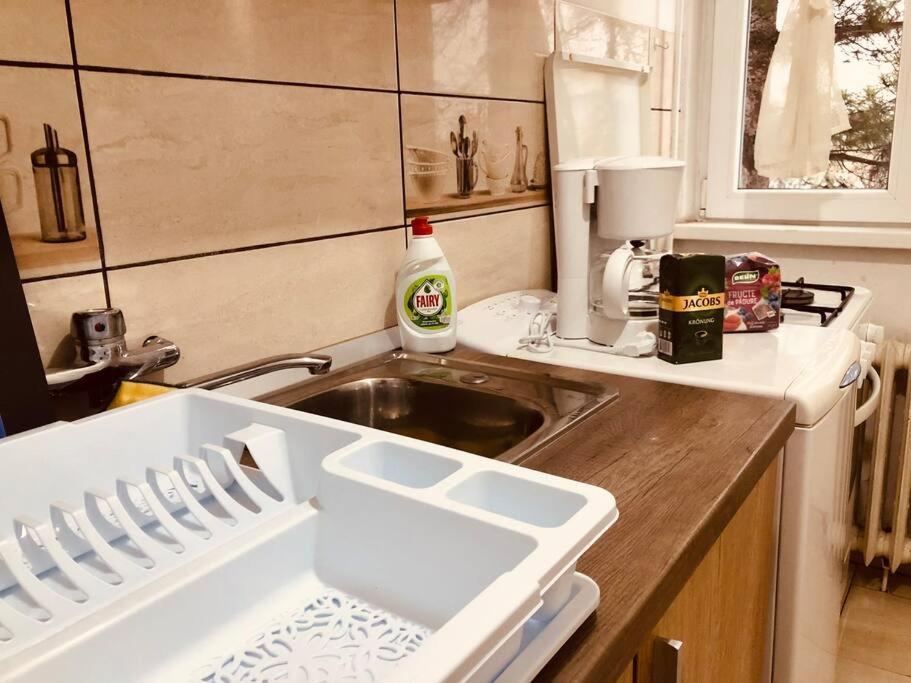 Nice Apt Near Spitalul Judetean, All You Need Lr14 ทิมิชัวรา ภายนอก รูปภาพ