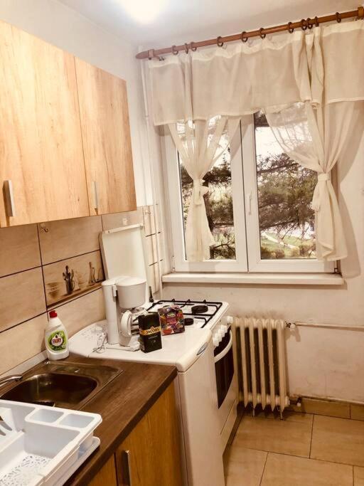 Nice Apt Near Spitalul Judetean, All You Need Lr14 ทิมิชัวรา ภายนอก รูปภาพ
