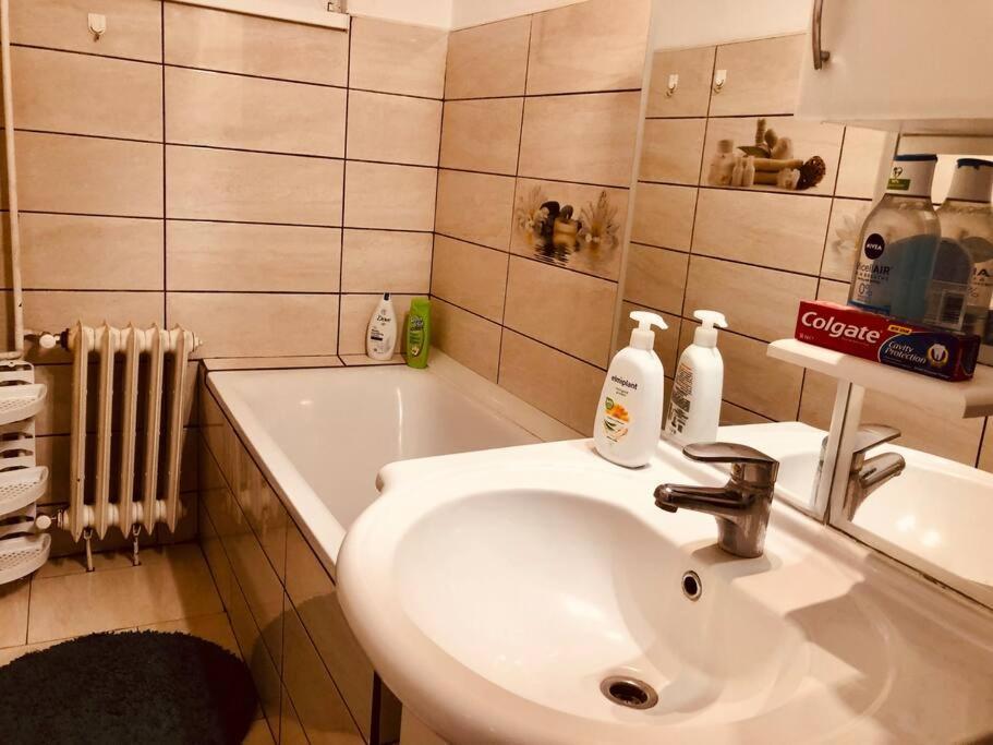Nice Apt Near Spitalul Judetean, All You Need Lr14 ทิมิชัวรา ภายนอก รูปภาพ
