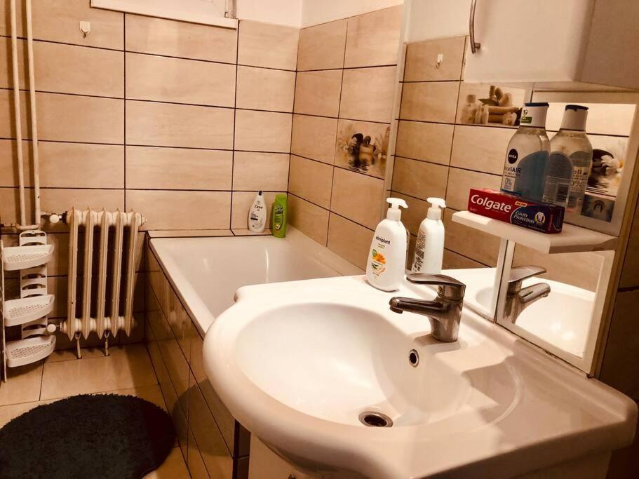 Nice Apt Near Spitalul Judetean, All You Need Lr14 ทิมิชัวรา ภายนอก รูปภาพ