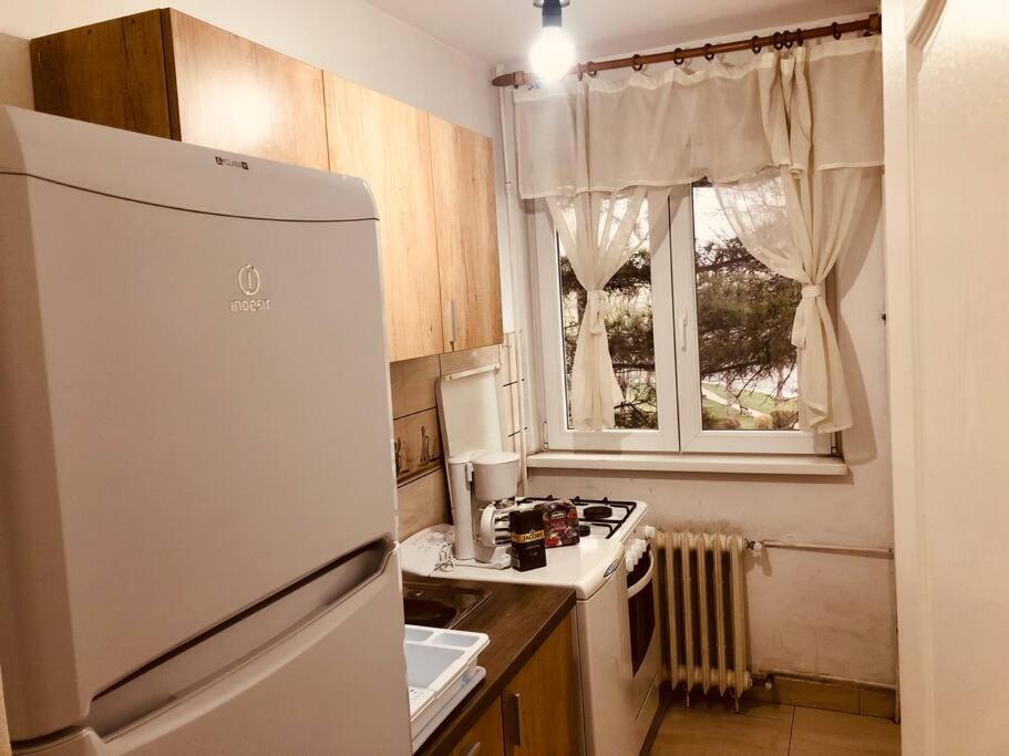 Nice Apt Near Spitalul Judetean, All You Need Lr14 ทิมิชัวรา ภายนอก รูปภาพ